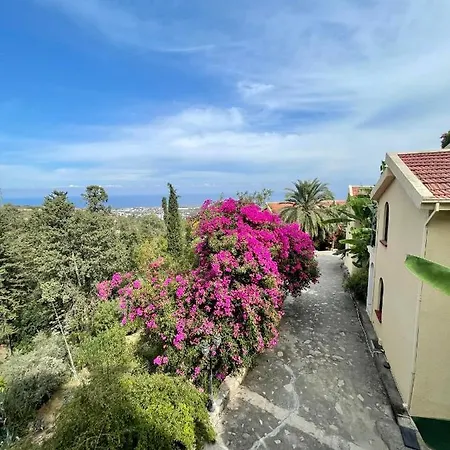 Gardens Bellapais
