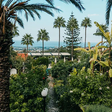 بيت شباب Gardens *