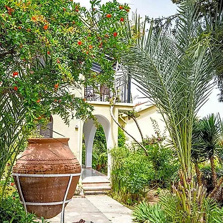 Hostel Gardens
